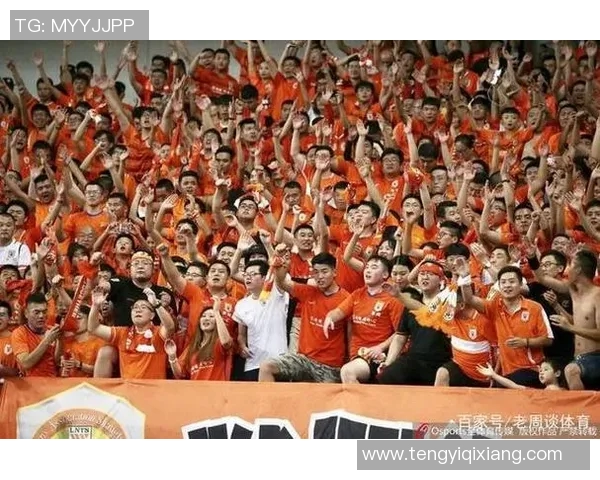 山东体育明星行业排名分析与影响力探讨