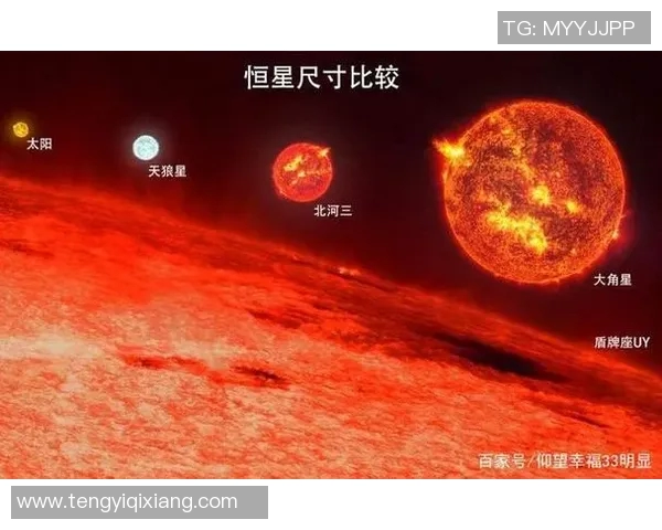 天猫与水星的大小对比分析揭示宇宙中星球的奇妙差异与特征