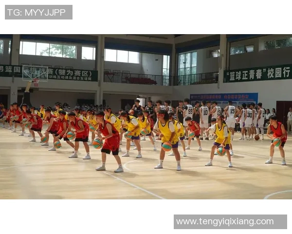 美国篮球明星的辉煌历程与对全球篮球文化的深远影响分析