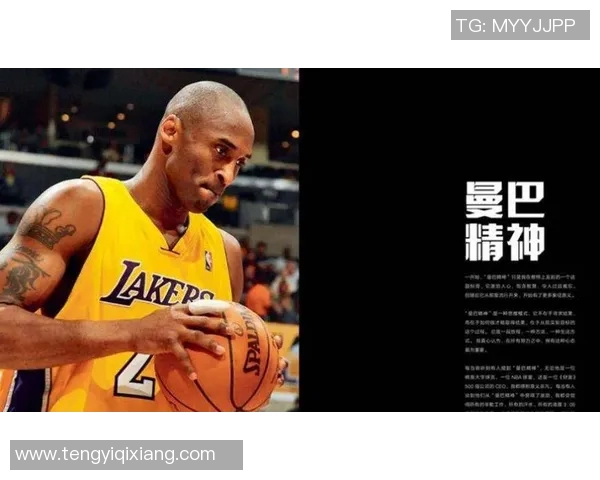 探索篮球明星的辉煌历程与成就背后的故事与影响力