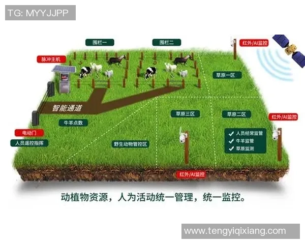 中国足彩馆种子发展现状与未来前景分析及其对行业的影响探讨
