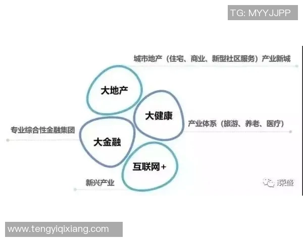 探索韩国五大体育运动品牌的崛起与影响力分析