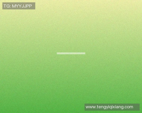 欧文系列篮球明星的传奇之路与球场上的辉煌成就探秘